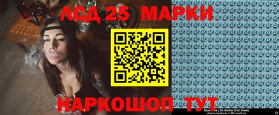a pvp Камышлов