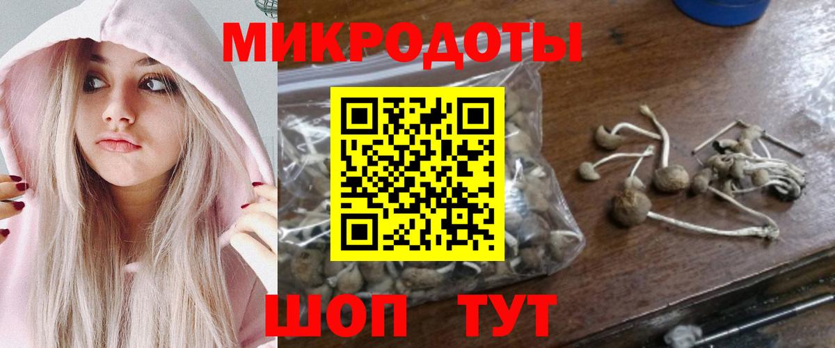 Псилоцибиновые грибы Psilocybine cubensis  Галлюциногенные грибы MAGIC MUSHROOMS  Вход с VPN  Кулебаки 